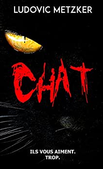 Chat – Ludovic Metzker